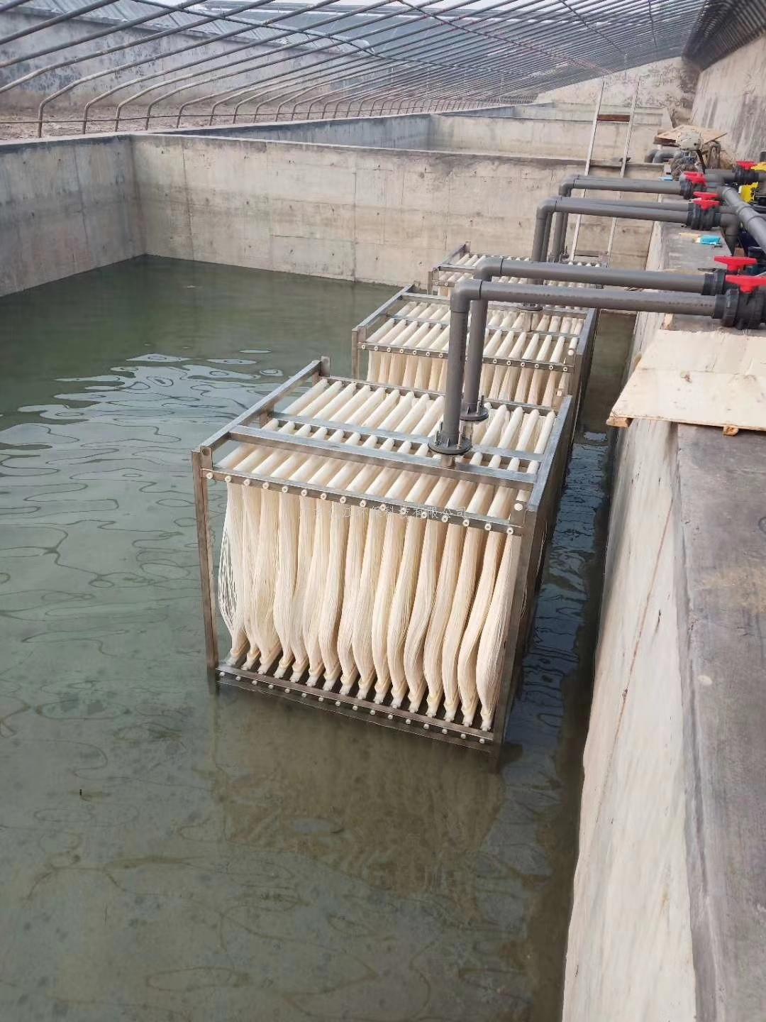 總（zǒng）氮去除工藝（yì）